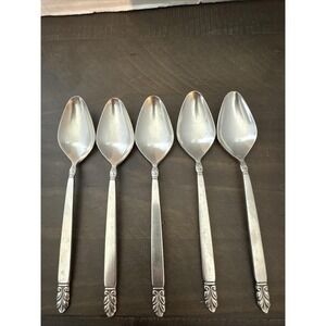 5 Teaspoons International NORSE Deluxe Stainless 6 3/8" See Pics